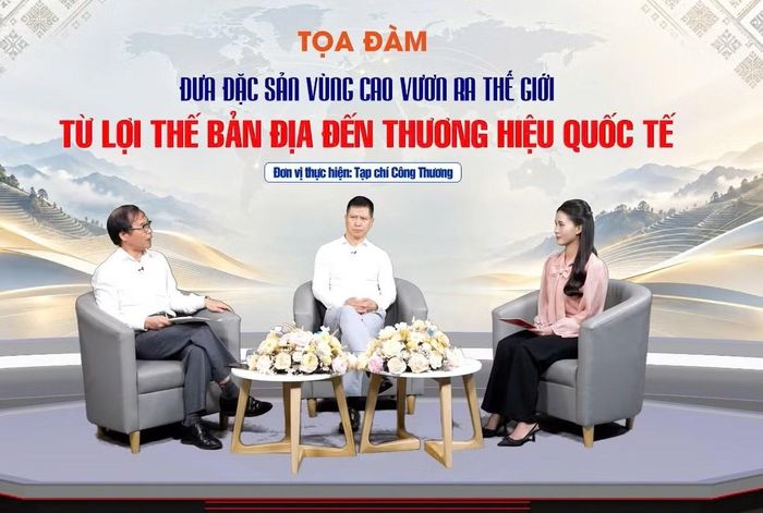 Các chuyên gia thảo luận tại tọa đàm. (Ảnh: CTV/Vietnam+)