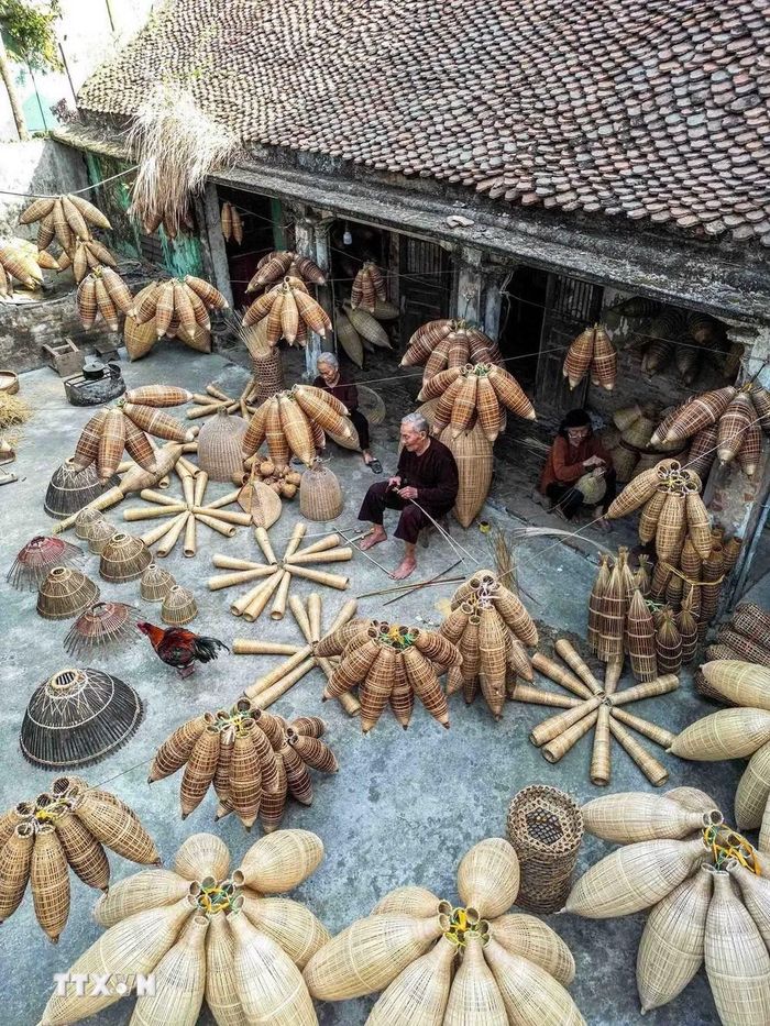 Sản phẩm của Tân Hưng do đó đã được đưa đi nhiều tỉnh, thành trong nước và xuất khẩu. (Ảnh: Khánh Hòa/TTXVN)