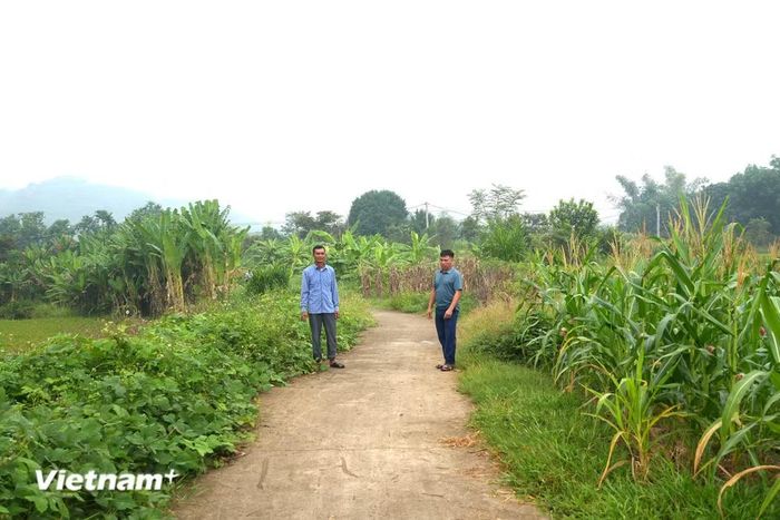Đường giao thông nông thôn hoàn thành tạo thuận lợi cho đời sống và sản xuất của người dân thôn Làng Hản. (Ảnh: Minh Tâm/Vietnam+)