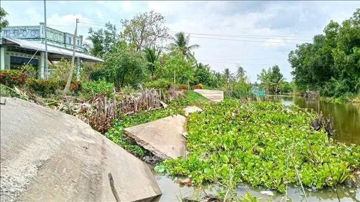 Các kịch bản rủi ro được lấy tham chiếu từ tình hình xâm nhập mặn mùa khô 2019-2020 và giai đoạn hạn hán 2014-2016, hiện tượng El Nino đã gây nên nhiều vụ sụp lở đất ven sông gây nhiều thiệt hại cho địa phương. Ảnh: Huỳnh Anh/TTXVN
