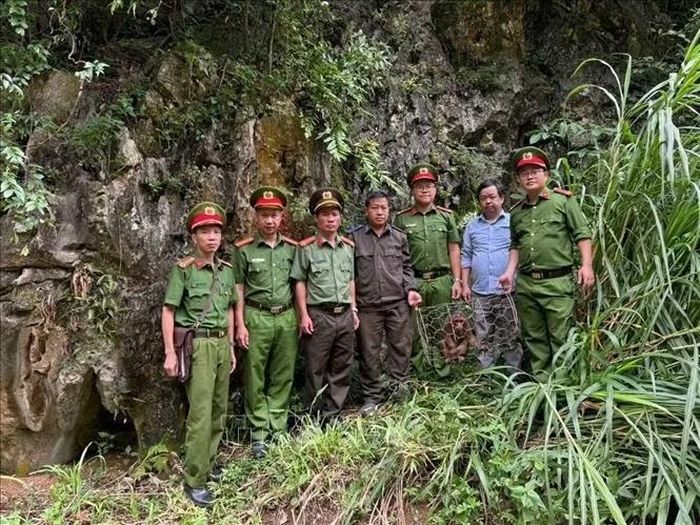 Công an xã Cán Tỷ (Tuyên Quang) phối hợp với Ban Quản lý rừng đặc dụng Bát Đại Sơn tổ chức bàn giao và thả một cá thể khỉ mặt đỏ về môi trường tự nhiên.