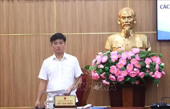 Phó Chủ tịch UBND tỉnh Quảng Ngãi Đỗ Tâm Hiển phát biểu tại buổi làm việc.