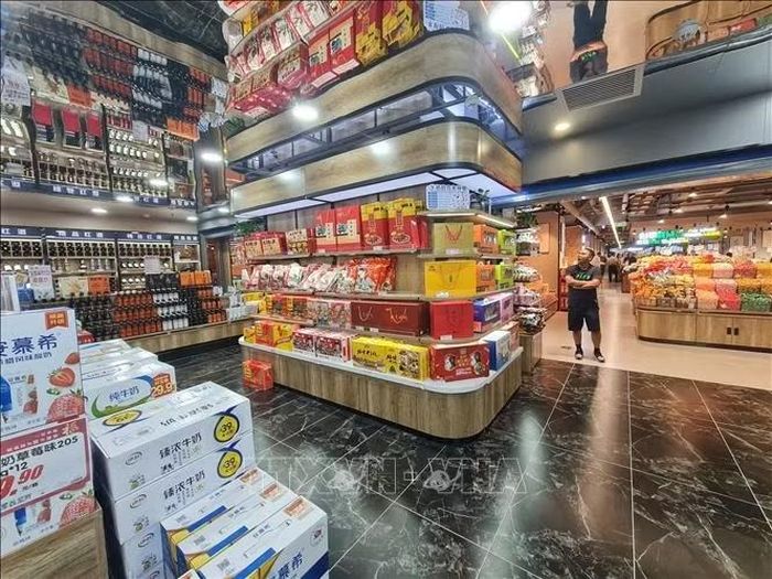 Các sản phẩm bánh Trung thu được thiết kế đa dạng về hình thức, đáp ứng nhu cầu thưởng thức và làm quà tặng.