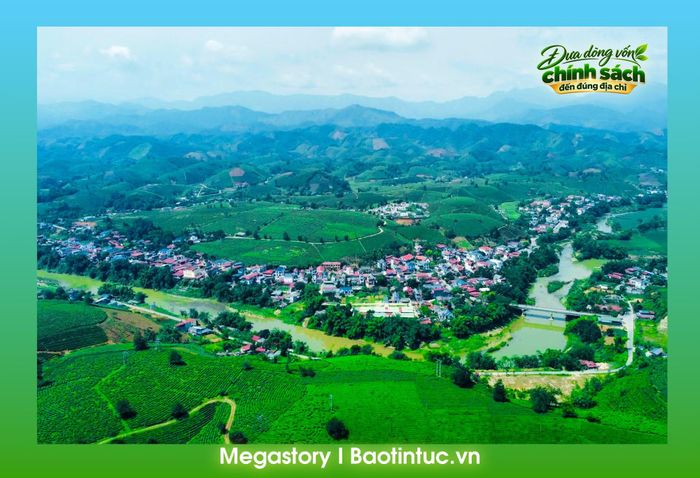 Xã Minh Đài xác định phát triển cây chè là cây chủ lực gắn với phát triển du lịch cộng đồng.