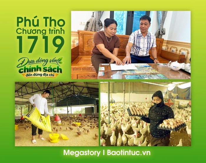 Nhờ nguồn vốn vay chính sách, nhiều hộ dân xã Đạo Trù đã vươn lên phát triển kinh tế gia đình.