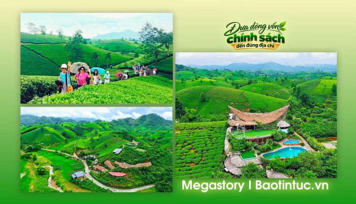 Các mô hình homestay, nghỉ dưỡng giữa vùng chè ở xã Long Cốc thu hút khách du lịch, đã góp phần nâng cao giá trị cảnh quan và mở rộng sinh kế cho người dân địa phương.