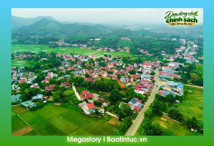 Những đồi chè xanh được quy hoạch theo mô hình sản xuất hàng hóa tập trung tại xã Võ Miếu.