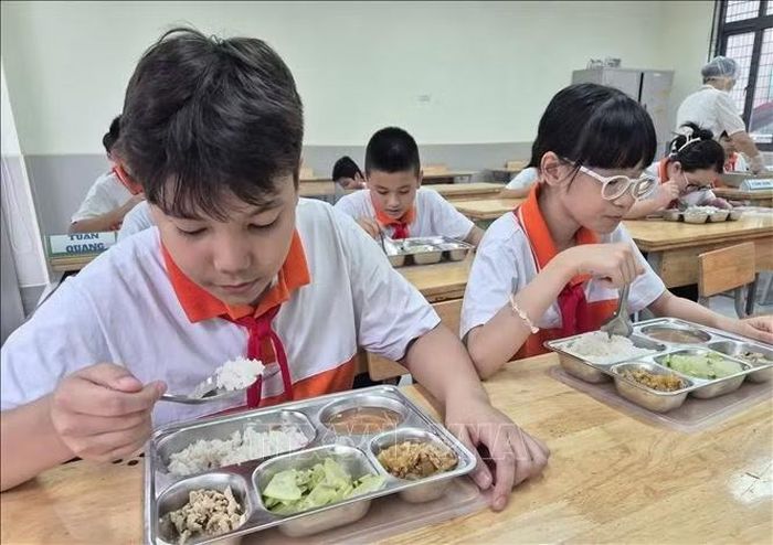 Bữa ăn bán trú phải đảm bảo các điều kiện về an toàn thực phẩm, chất lượng và thời gian phục vụ.