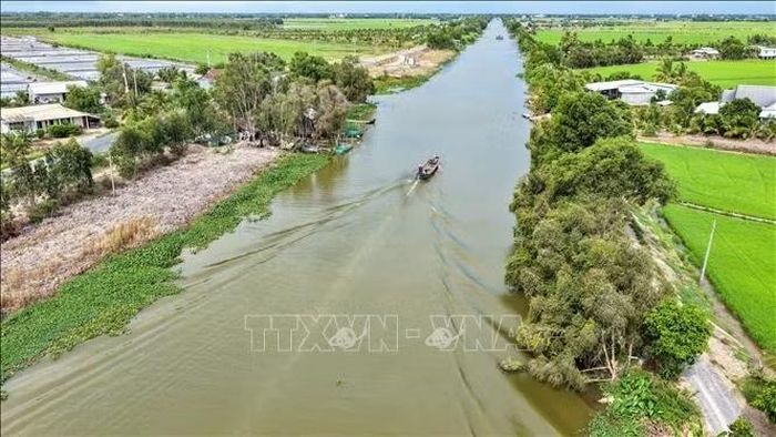 Một tuyến đê bao chạy dọc vùng sản xuất, góp phần bảo vệ diện tích lúa trước nguy cơ ngập lũ.