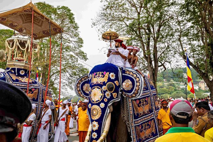 Lễ hội Esala Perahera tổ chức vào tháng 7-8 hàng năm để tôn vinh Xá lợi Răng Phật.