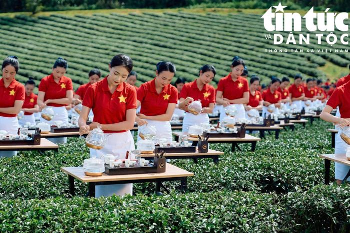 Người pha trà chú trọng nhiệt độ nước, lượng trà và thời gian hãm để chén trà có hương thơm, vị chát dịu và hậu ngọt.