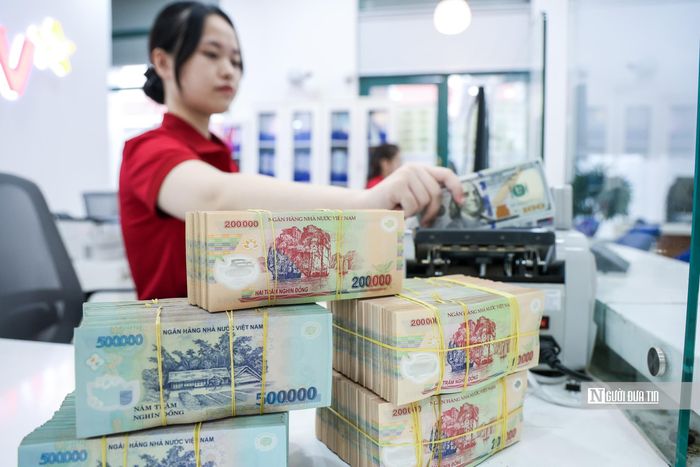GS.TS Mạc Quốc Anh cho rằng, cần chuyển từ tư duy "xin vốn" sang xây dựng năng lực "hấp thụ và sử dụng vốn có hiệu quả" (Ảnh: Hữu Thắng).