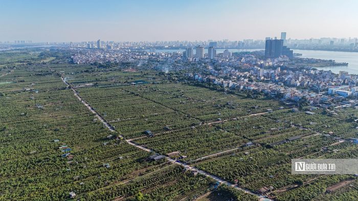 Dự kiến, mật độ xây dựng tại khu dịch vụ, công cộng là 60%; nhóm nhà ở từ 35% đến 40%; công viên chuyên đề 25% và công viên công cộng 5%. Về tầng cao, định hướng phổ biến từ 30 đến 45 tầng, trong đó có công trình điểm nhấn và biểu tượng đô thị là Tháp Kỷ nguyên cao 109 tầng.