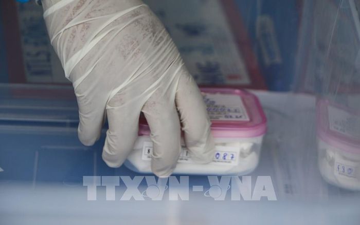 Đồng Tháp phấn đấu đến hết tháng 10 sẽ hoàn thành nhiệm vụ lấy mẫu và bàn giao mẫu. Ảnh: Hồng Thái - TTXVN