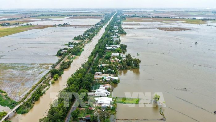Nước lũ tràn đồng tại vùng Đồng Tháp Mười của tỉnh Tây Ninh. Ảnh: Minh Phú - TTXVN