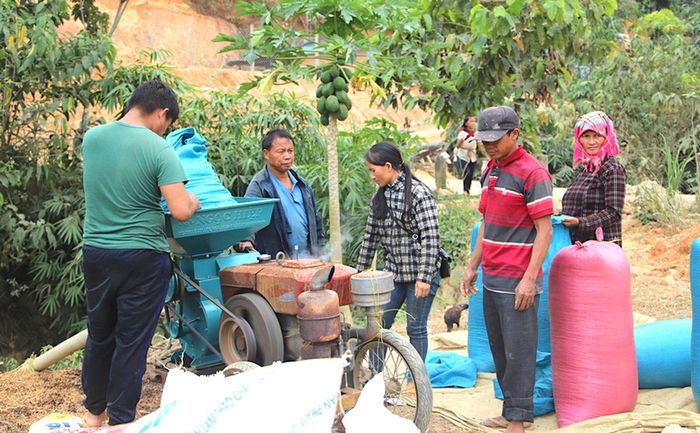 Người dân tại thôn Bắc Nguyên, xã Đam Rông 2, tập trung làm ăn, chủ yếu trồng cà phê để nâng cao thu nhập