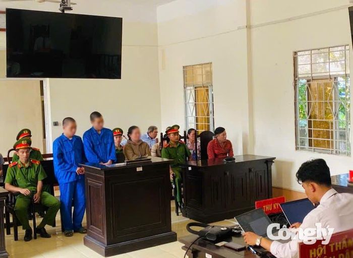 Các bị cáo tại phiên tòa.