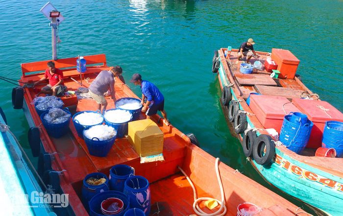 Ngư dân xã đảo Sơn Hải mua bán hải sản.
