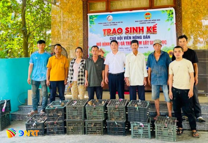 Hội Nông dân phường Liên Chiểu phối hợp Phòng Kinh tế, Hạ tầng và Đô thị phường hỗ trợ con giống cho người dân trên địa bàn. Ảnh: QUANG VINH