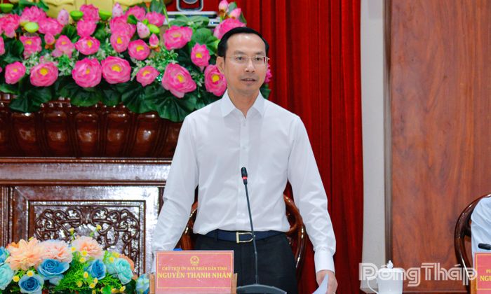 Đồng chí Nguyễn Thanh Nhàn phát biểu tại hội nghị.