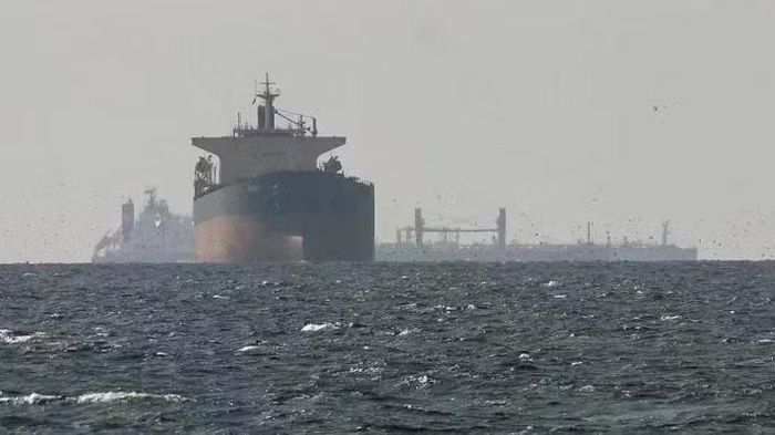 Tàu hàng di chuyển trên eo biển Hormuz. Ảnh: AFP