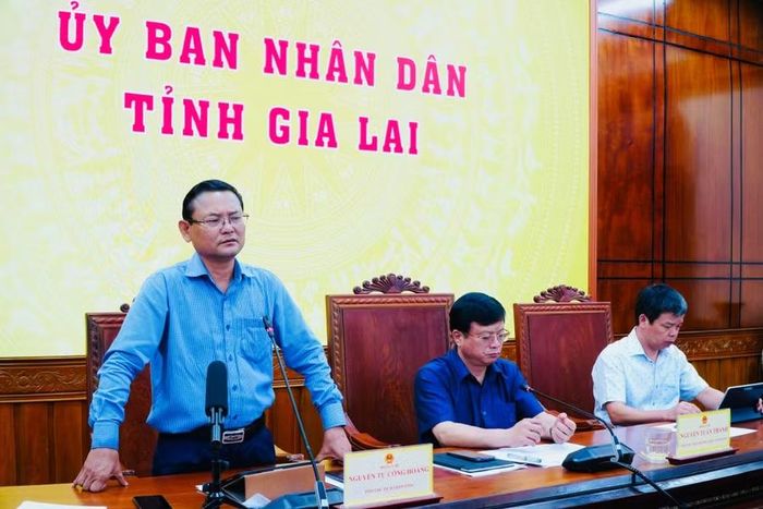  Phó Chủ tịch UBND tỉnh Nguyễn Tự Công Hoàng phát biểu tại hội nghị. Ảnh: N.H 