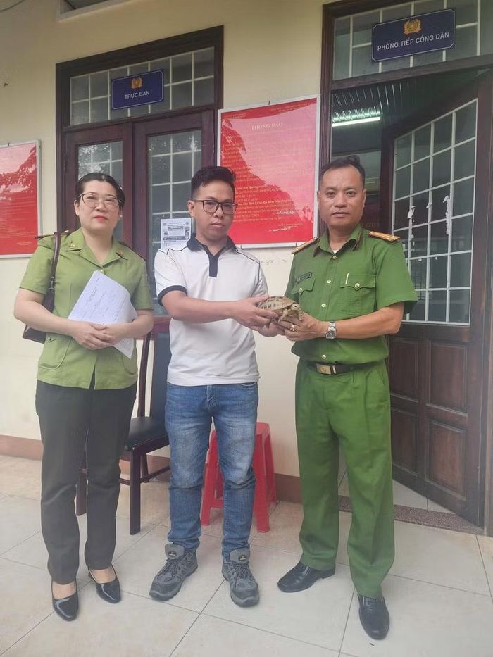 Công an phường Quy Nhơn tiếp nhận cá thể rùa núi vàng do công dân tự nguyện giao nộp. Ảnh: ĐVCC