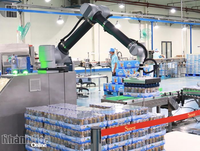 Sản xuất nước giải khát tại Công ty Cổ phần Nước giải khát Sanest Khánh Hòa.