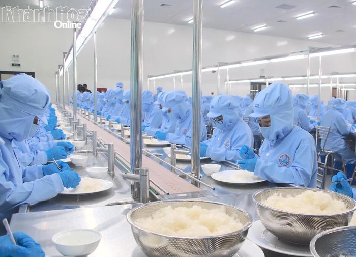 Hoạt động sản xuất của Công ty TNHH Nhà nước Một thành viên Yến sào Khánh Hòa. Ảnh: ĐÌNH LÂM