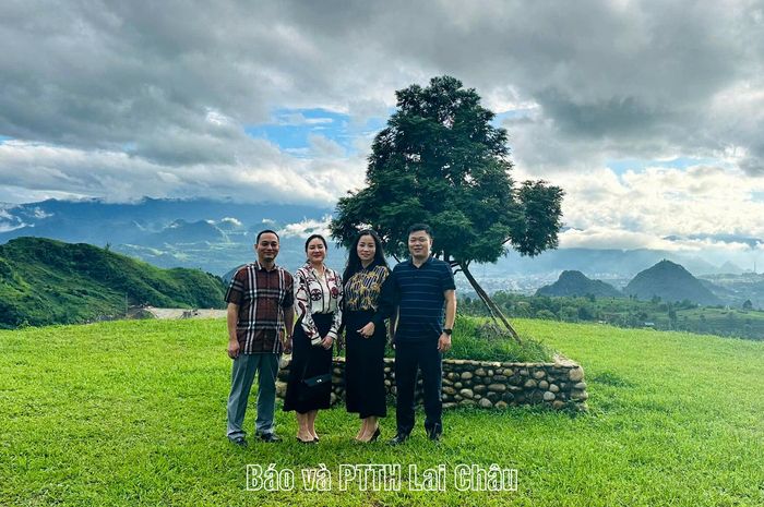 Khách tham quan chụp ảnh lưu niệm với cây Bách xanh.