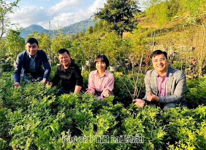 Ông Đinh Hồng Dương giới thiệu cây giống Bách xanh cho khách hàng.
