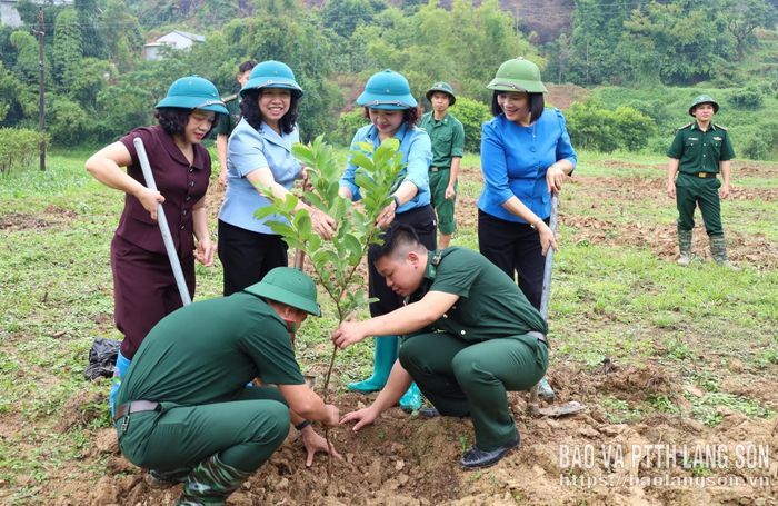 Các đại biểu tham gia trồng cây trong mô hình 