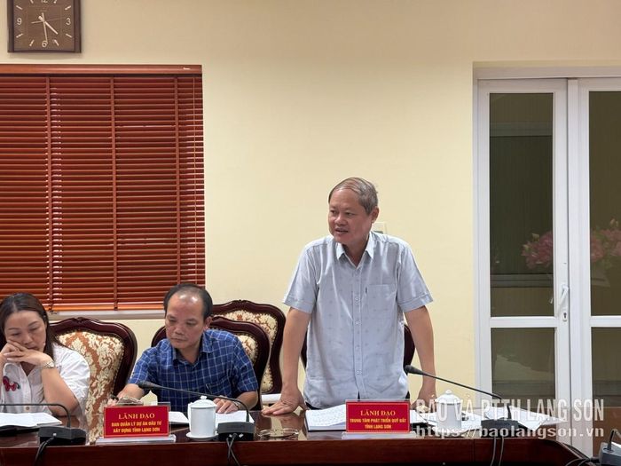 Lãnh đạo Trung tâm Phát triển quỹ đất tỉnh phát biểu tại buổi kiểm tra