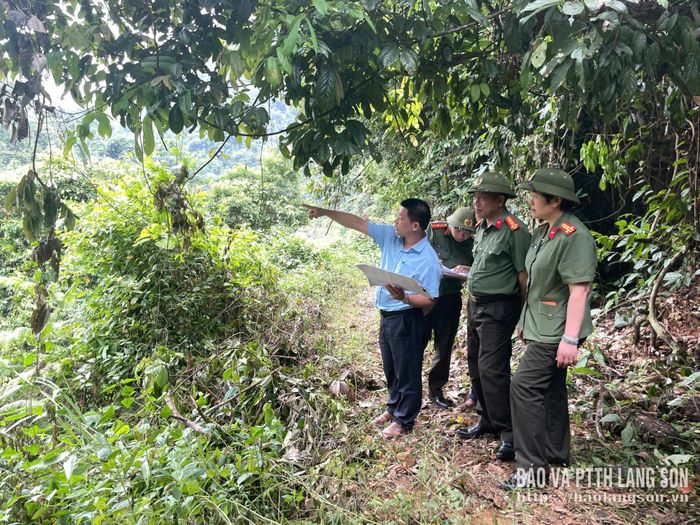 Thành viên đoàn công tác khảo sát vị trí xây dựng cầu dân sinh