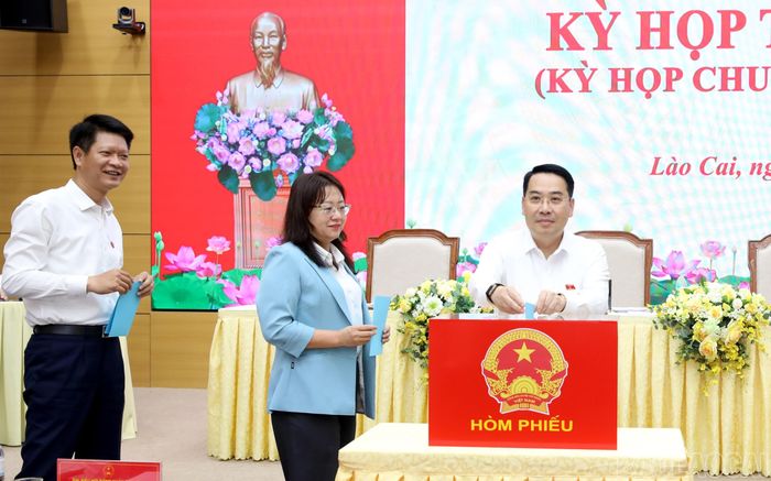Các đại biểu bỏ phiếu bầu bổ sung chức danh Ủy viên UBND tỉnh.
