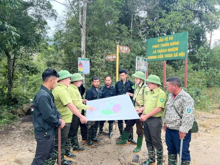 Lực lượng bảo vệ rừng thường xuyên tuần tra, bảo vệ tốt diện tích rừng được giao quản lý.