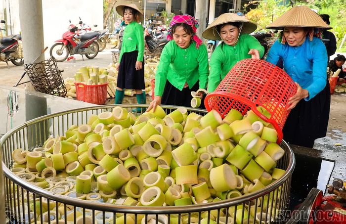 Măng được đưa về điểm sơ chế tập trung của hợp tác xã, rửa sạch và luộc chín.