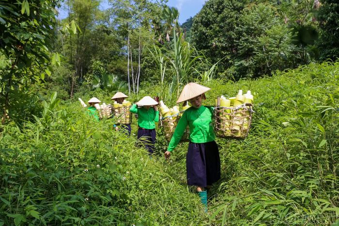 Những gùi măng nặng trĩu theo chân người dân trở về bản.