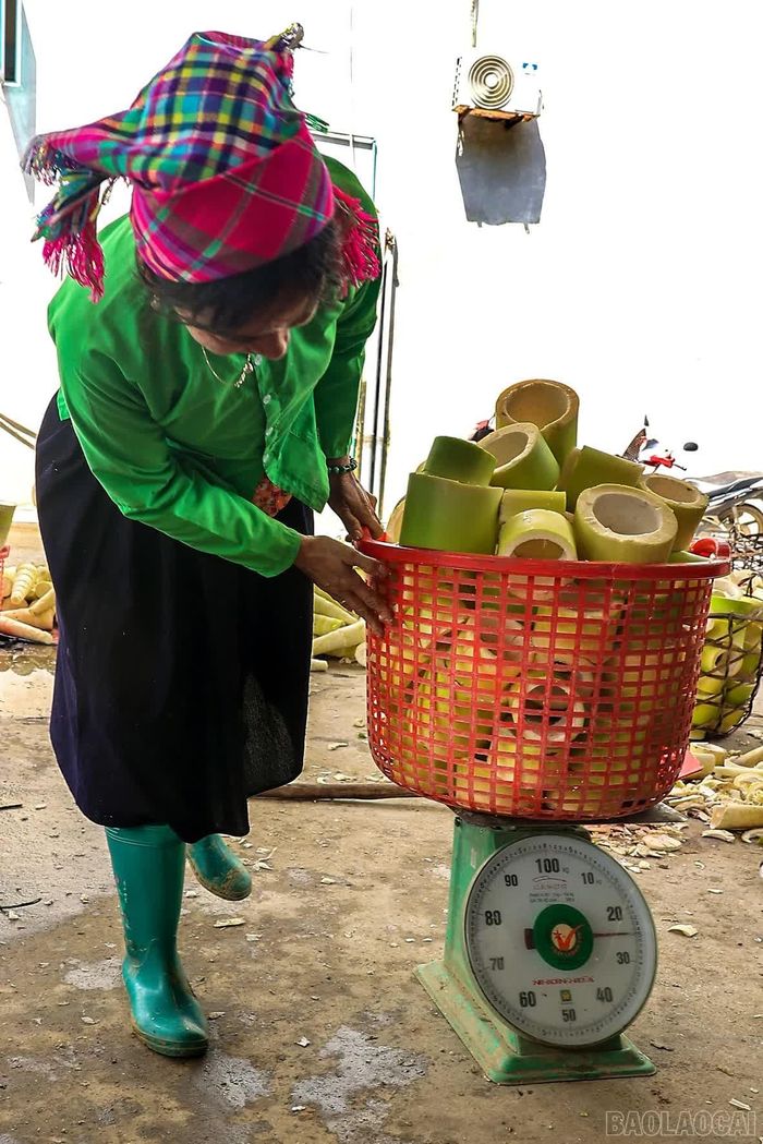 Măng tươi được cân, phân loại tại điểm thu mua, giá dao động 5.500 - 6.000 đồng/kg.