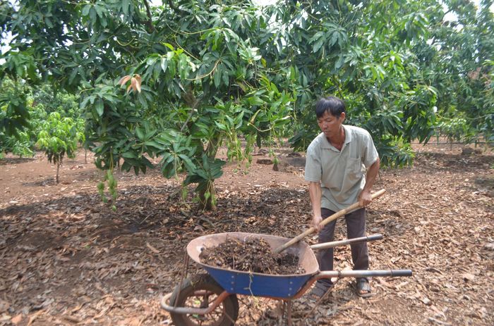 Đăk Mil phấn đấu đến 2030, thu nhập bình quân đầu người đạt 66,2 triệu đồng/người/năm