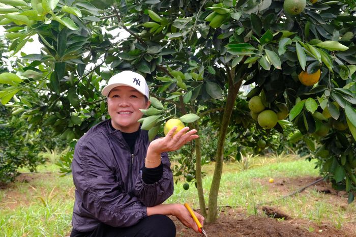 Chị Minh Hiếu quyết định làm du lịch khi thấy khách hàng các nơi tìm đến ngày một nhiều