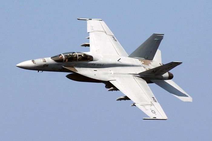 Tiêm kích F/A-18 Hornet. Ảnh: Wikipedia