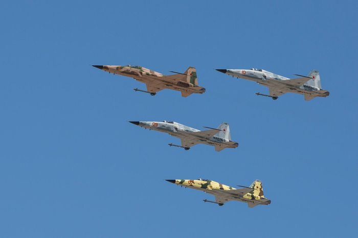 F-5 Tiger II. Ảnh: Northropgrumman