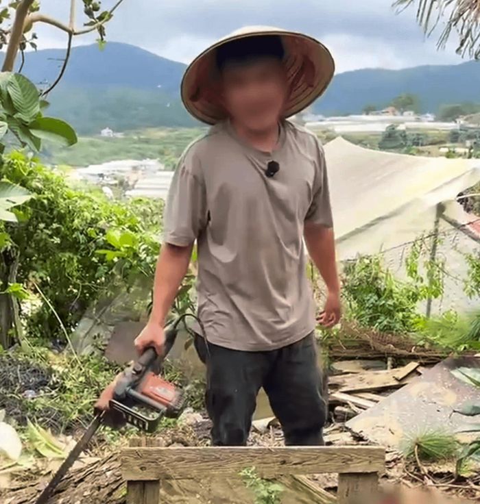 H.N.M. (26 tuổi, trú khu An Sơn, phường Xuân Hương - Đà Lạt) dùng cưa máy đốn hạ thông. (Ảnh cắt từ video)
