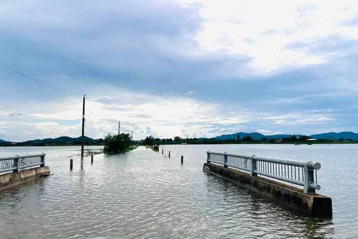 Nước sông Đồng Nai chảy vào nội đồng, gây ngập úng cục bộ tại một số vùng trũng
