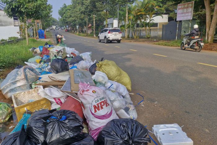 Rác tập kết dọc tuyến đường tại Phường 1 Bảo Lộc