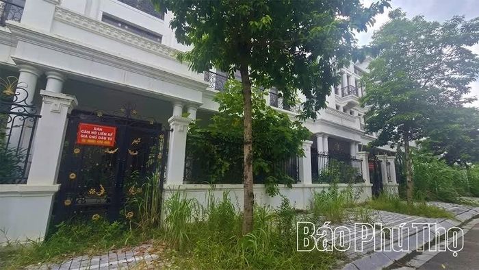 Liên tiếp hai căn hộ thuộc địa bàn phường Hoà Bình đang được rao bán với giá chủ đầu tư nhưng vẫn không có người hỏi mua.