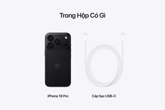 Máy và cáp USB-C trong hộp.