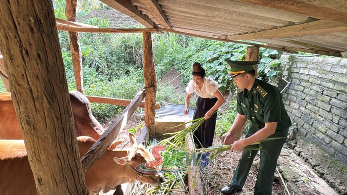 Cán bộ Đồn Biên phòng Phiêng Pằn đồng hành cùng phụ nữ nơi biên cương phát triển kinh tế.