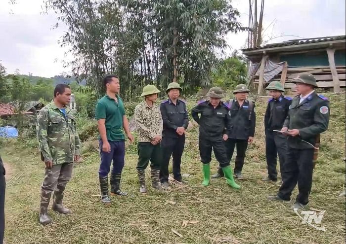 Triển khai cắm mốc ranh giới rừng đặc dụng